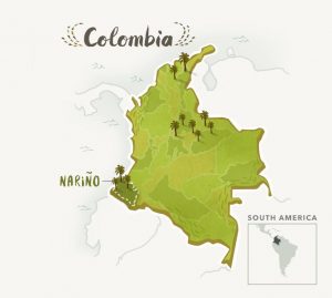 کلمبیا نارینو | کافه ساپورت