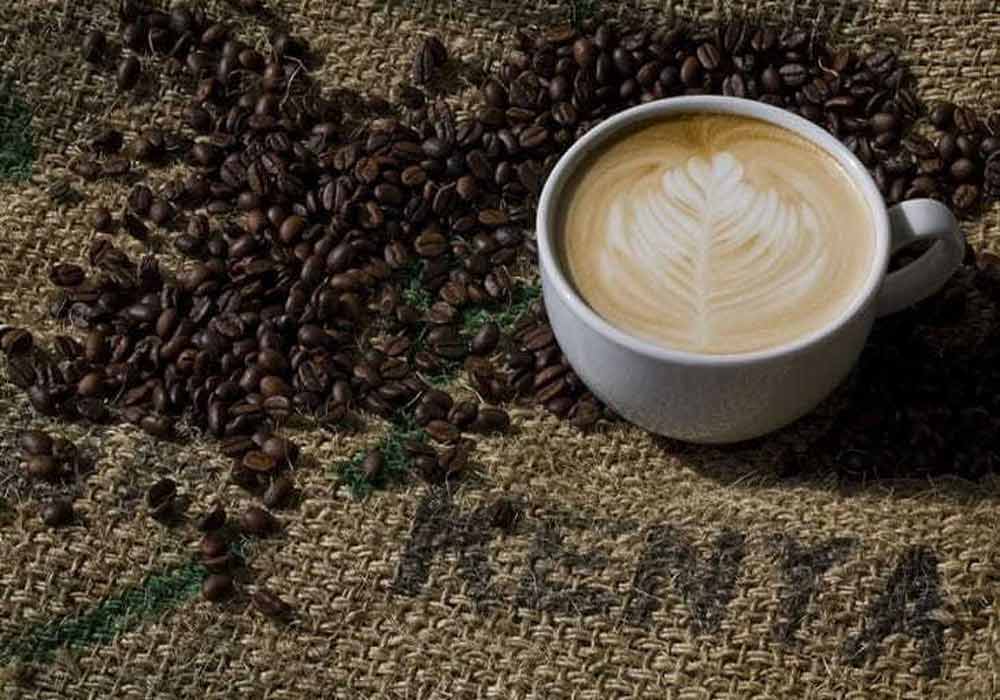 نوع دانه قهوه کنیا