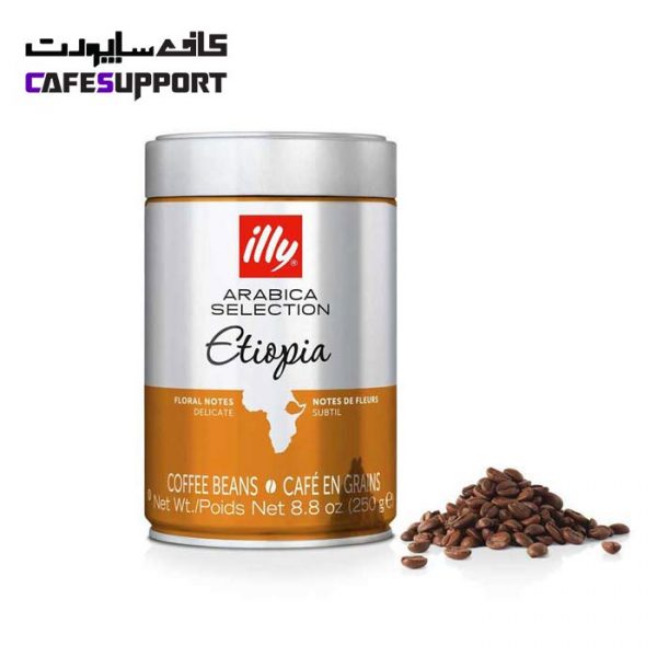 دانه قهوه‌ ایلی اتیوپی