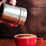 پودر پاش استیل با سری توری