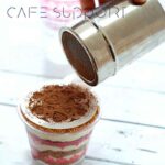 پودر پاش استیل با سری توری 350ml